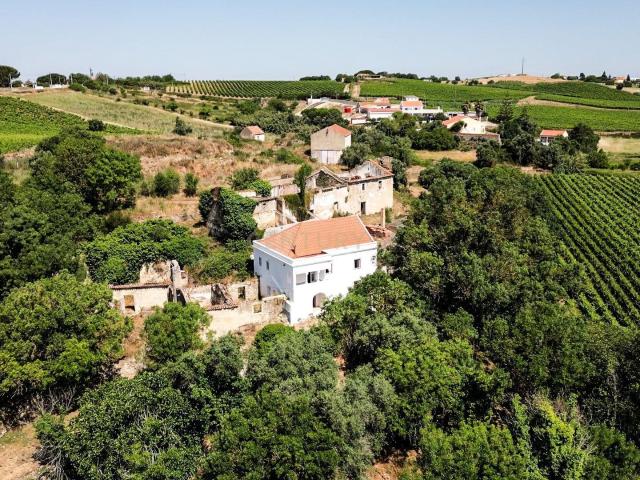 Quinta com 6,2ha Moradia T3 | Vinha e Potencial Turístico