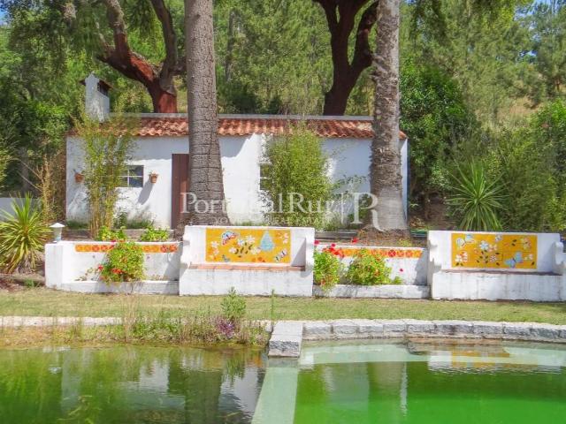 Quinta com 6.396 m2 junto à Ribeira de Sor 354m² Ponte de Sor, Tramaga e Vale de Açor