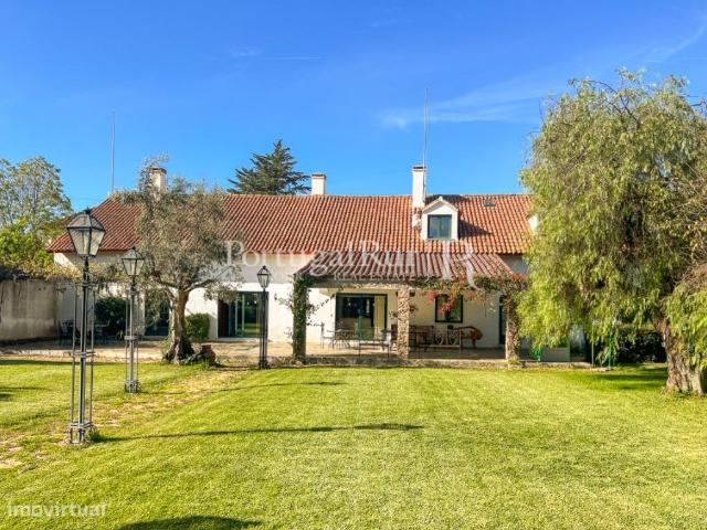 Quinta com 6 ha e casa colonial T11