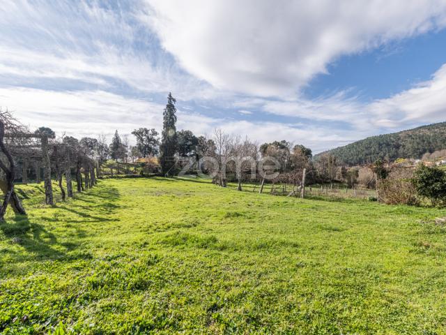 Quinta com 74.400 m2 em Penalonga, Ribeira de Pena Vila Real