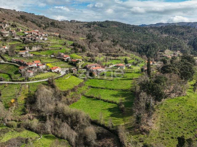 Quinta com 74.400 m2 em Penalonga, Ribeira de Pena Vila Real