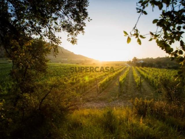 Quinta com 85 ha Serra da Arrábida