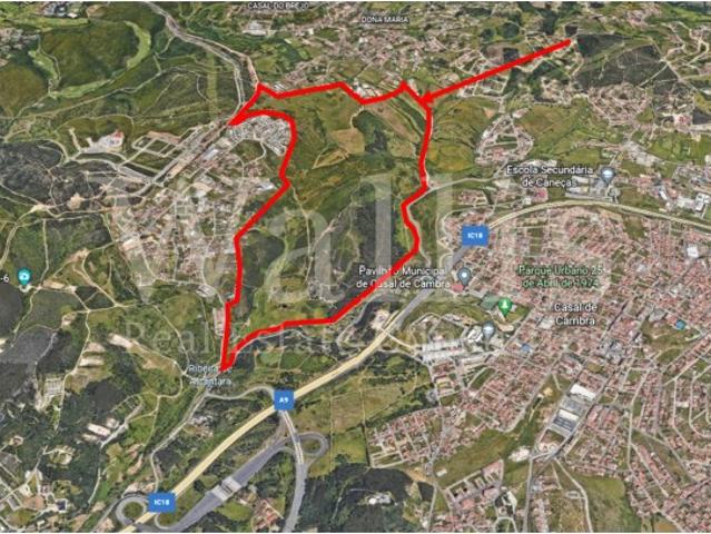 Quinta com 88,404ha em Belas | Wallis Real Estate