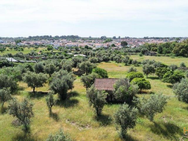 Quinta com 9250m2, localizado em Alcains. | 26064087355