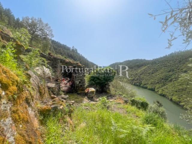 Quinta com 9.500m2 junto ao Rio Zêzere
