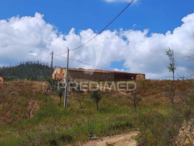 Quinta com 9,6750 ha a 25 Km da Praia da Zambujeira