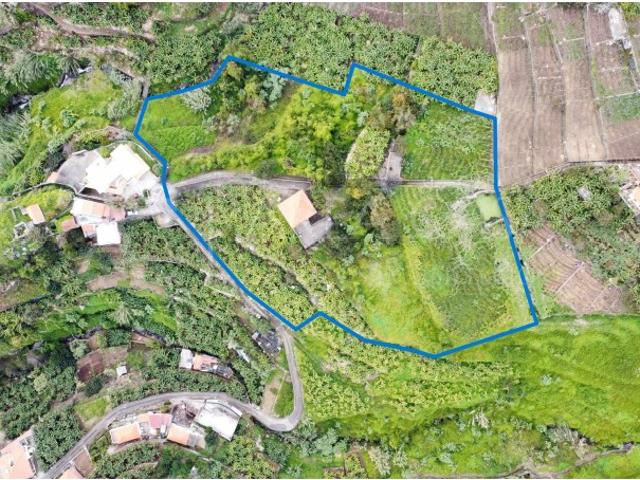Quinta com 9.820 m² em Câmara de Lobos Ideal para Viticultura ou Agricultura Tropical