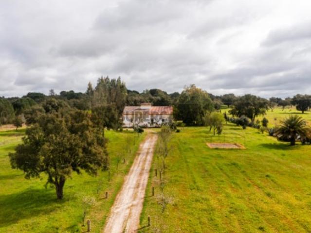 Quinta com 9 ha e água abundante no coração do Alentejo