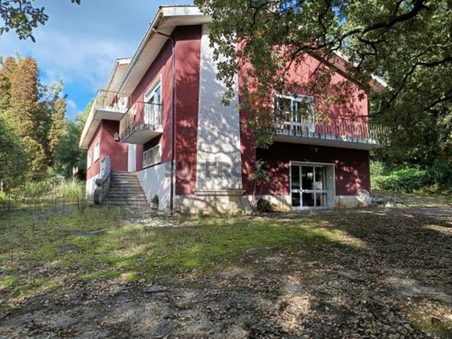 Quinta Casa dos Montoitos, com amplo terreno, perto de Anadia