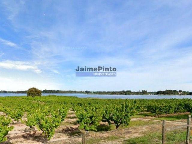 Quinta, Cereja, Palacete, frente Lago. Portugal, Castelo Branco, Fundão. | 26084099376