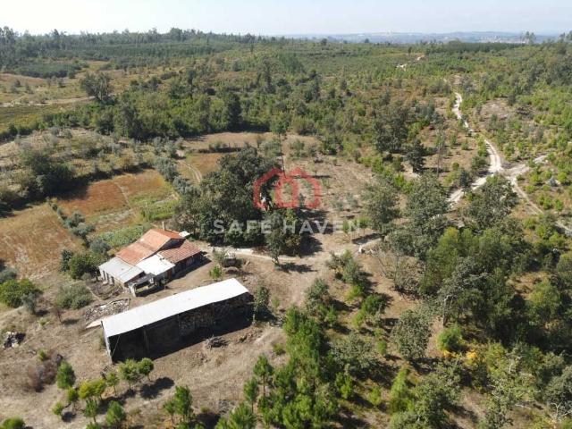 Quinta, Cunha Baixa, Mangualde, Viseu m² Cunha Baixa