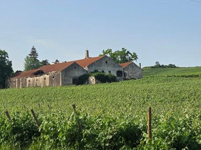 Quinta à venda em Aldeia Gavinha, Aldeia Galega da Merceana, concelho de Alenquer, Lisboa, Portugal