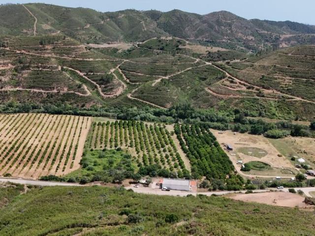 Quinta à venda em Alferce, concelho de Monchique, Faro, Portugal