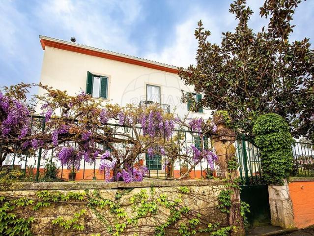 Quinta à venda em concelho de Ferreira do Zêzere, Santarém, Portugal
