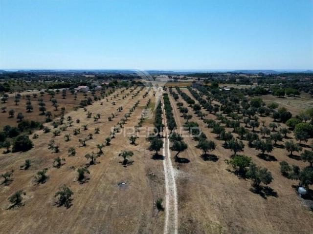 Quinta à venda em concelho de Santarém, Santarém, Portugal