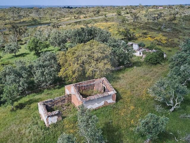 Quinta à venda em Grândola