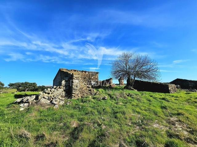 Quinta à venda em Ourique, concelho de Ourique, Beja, Portugal