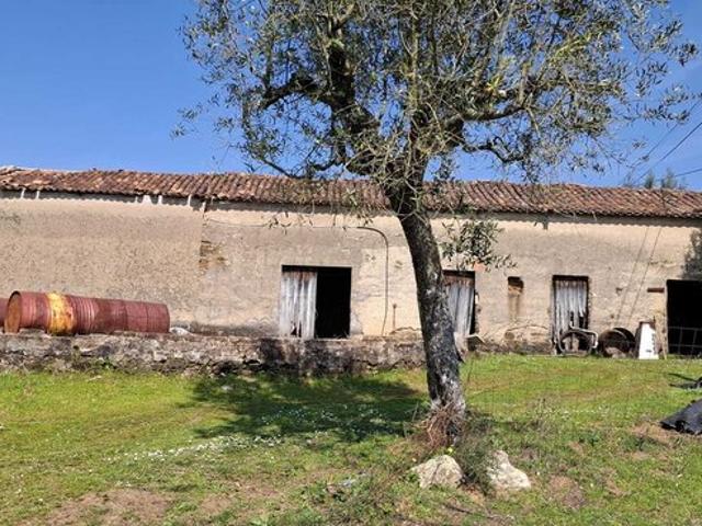 Quinta à venda em Paio Mendes, concelho de Ferreira do Zêzere, Santarém, Portugal