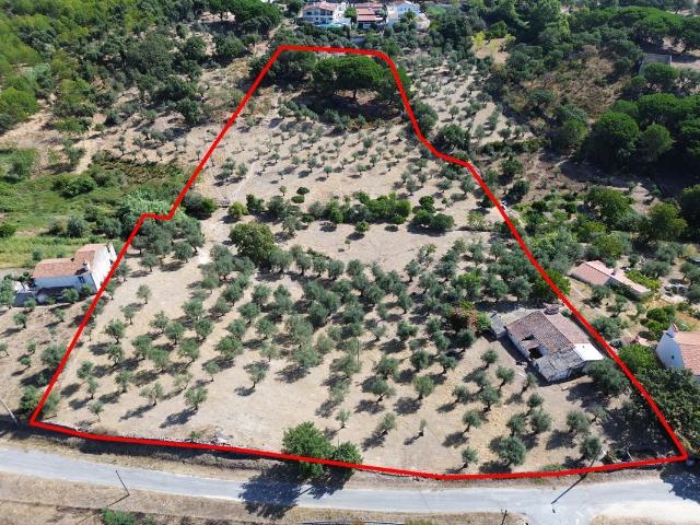 Quinta à venda em Portalegre