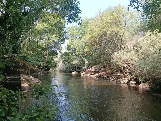 Quinta a confinar com o rio Mondego com cerca de 14 hectares
