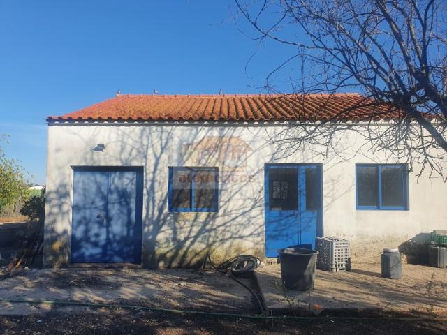 Quinta a poucos minutos do centro de Grândola!