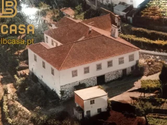 Quinta a produzir vinho do Porto