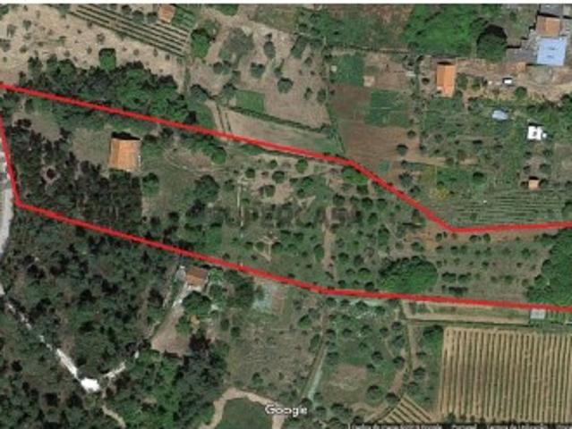 Quinta Agrícola