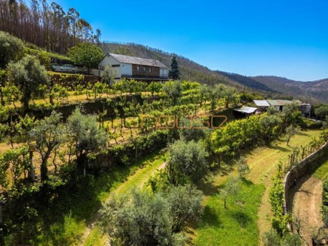 Quinta agrícola 45 minutos do Porto