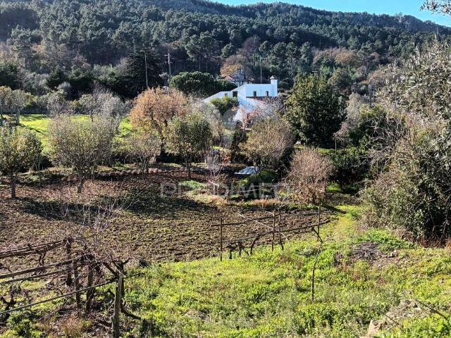 Quinta agricola