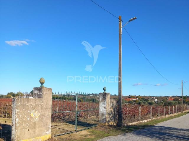 QUINTA AGRICOLA