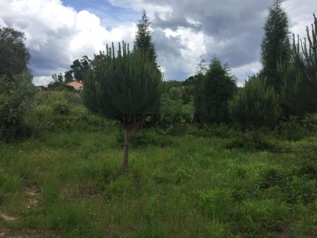Quinta Agrícola