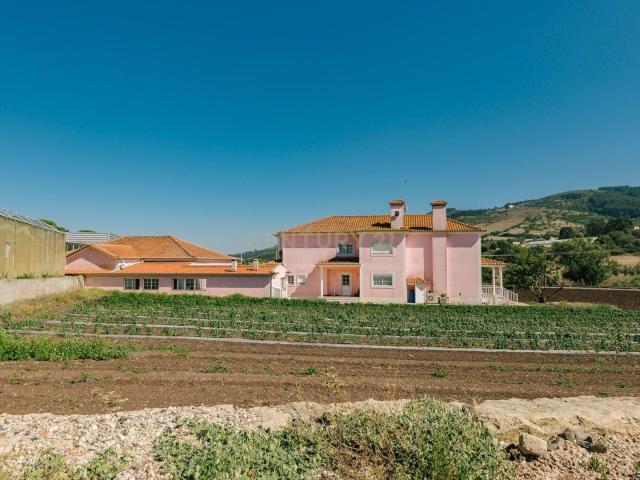 Quinta Agrícola com Moradia T5