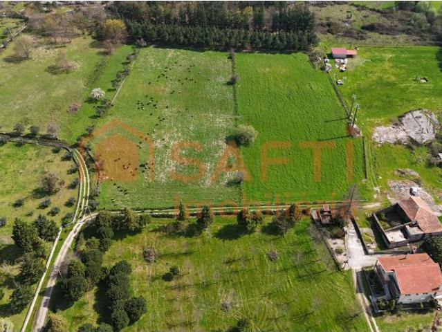 Quinta Agricola, com casa de habitação para recuperar vários pavilhões para destinado a Aviário e terreno rural na totalidade de 31000m2