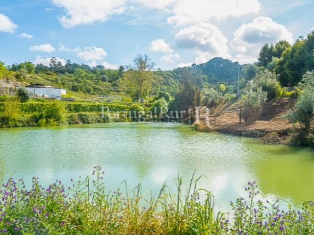 Quinta Agrícola com Produção Intensiva | 9,3 ha | Totalmente Equipada