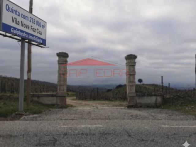 Quinta Agrícola com 218789 m2 em Almendra Vila Nova Foz Coa
