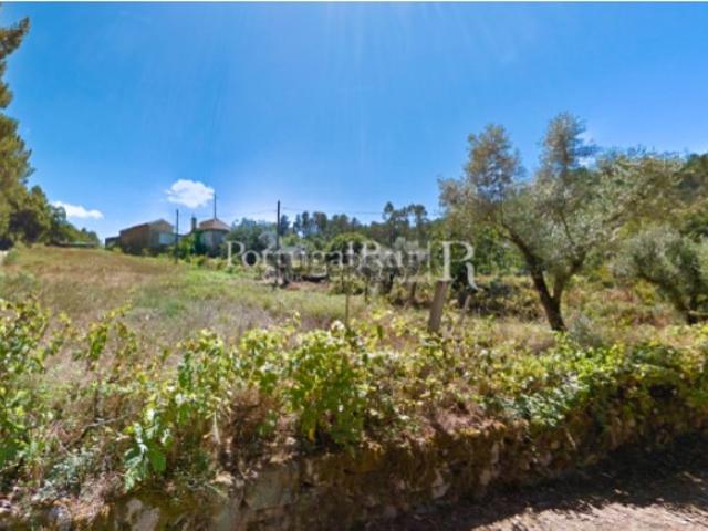 Quinta agrícola com 3 hectares