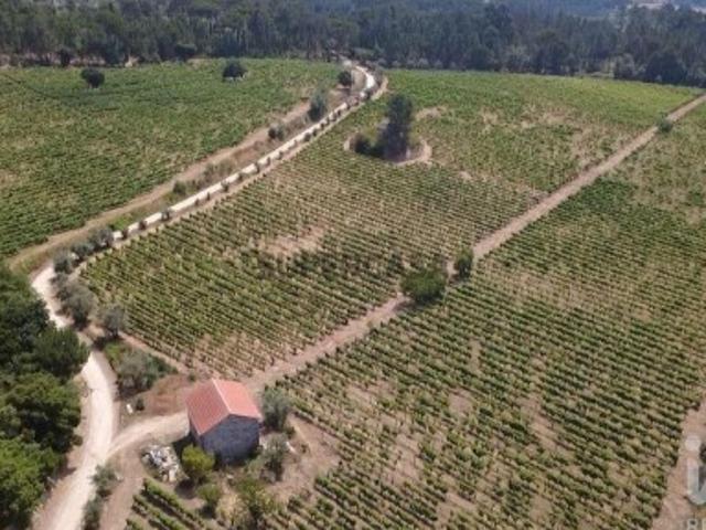 Quinta agricola em Carvalhal Redondo e Aguieira de 52600 m²
