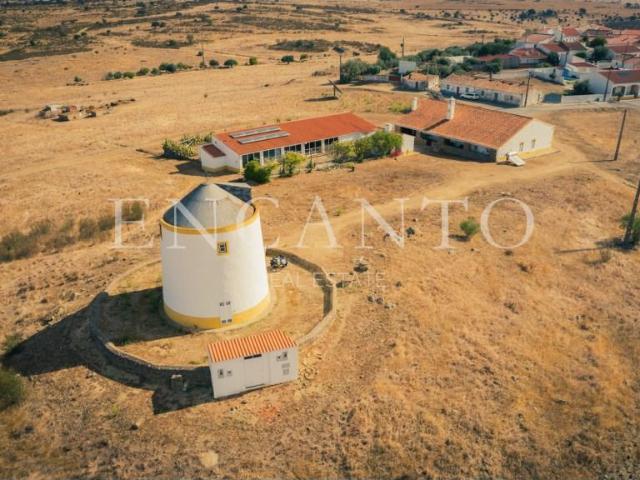 Quinta Agrícola T6 com piscina coberta e Um Moinho 481m² Castro Verde e Casével