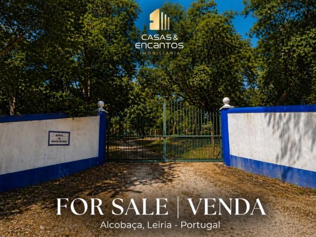#Quinta Alcobaça #Área extensa #Localização #Vegetação #Solo fértil