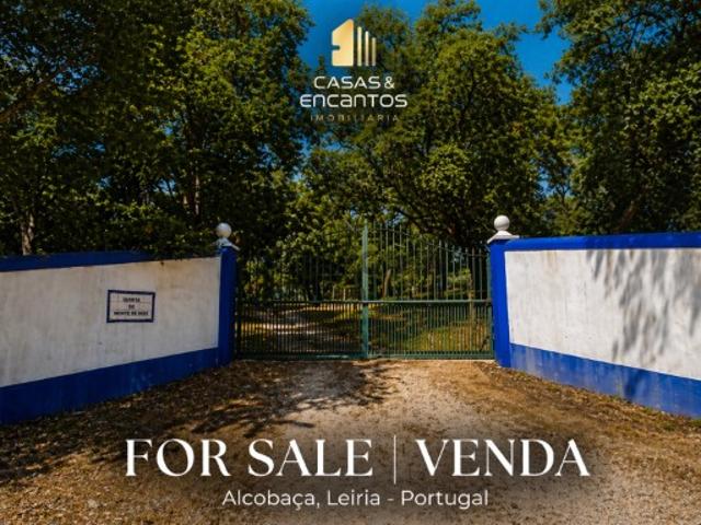 #Quinta Alcobaça #Área extensa #Localização #Vegetação #Solo fértil