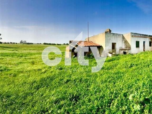 QUINTA ALENTEJANA COM 16.250 M2