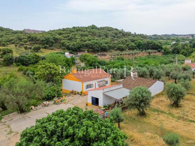Quinta Alentejana com 2 casas e vinha em Borba 301m² Borba Matriz