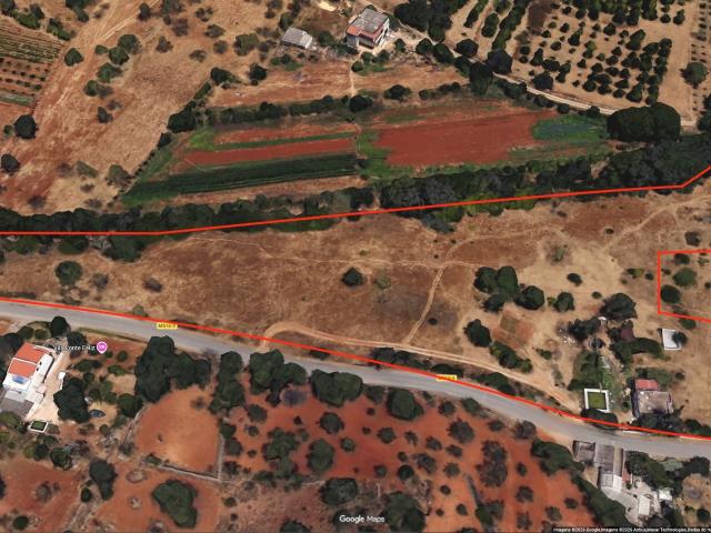 Quinta Algarvia com casa 1 hectare terreno Nora Tradicional e Tanques de Água
