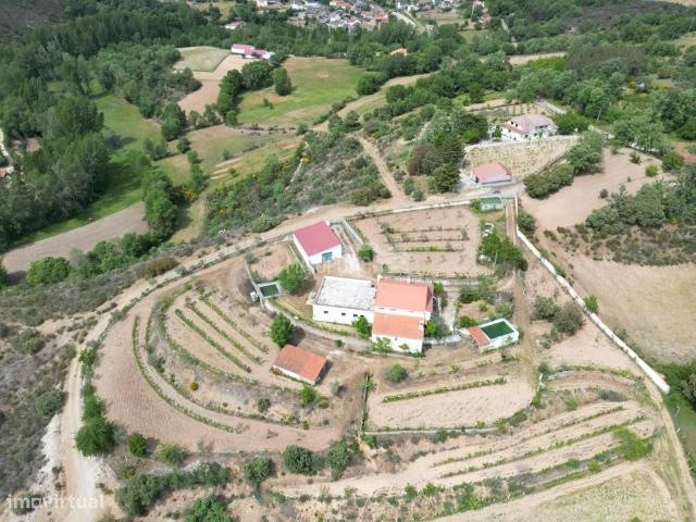 QUINTA AVELEDA BRAGANA