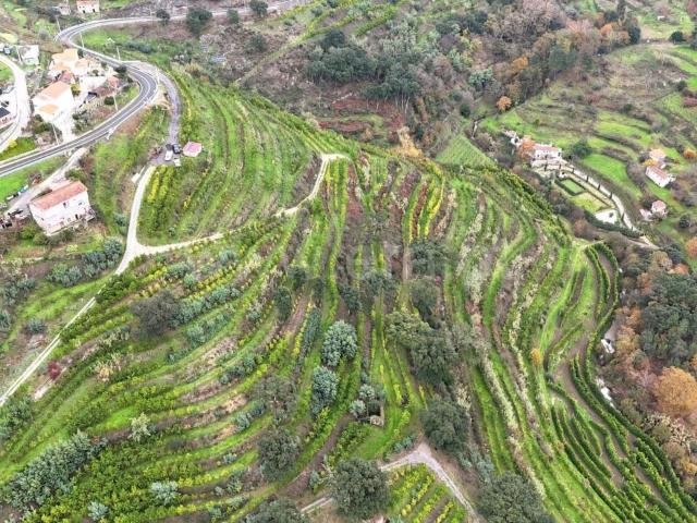 Quinta / Baião, Santa Cruz do Douro e São Tomé de Covelas