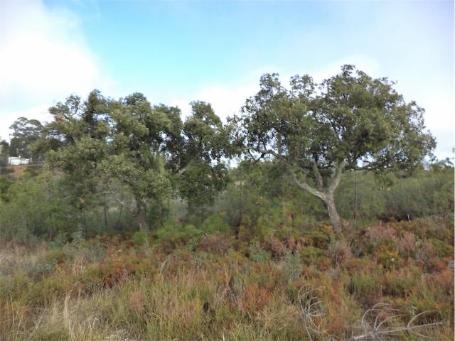 Quinta Biológica com 7,7hectares com água