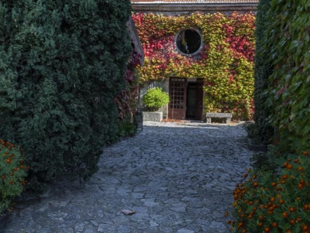 Quinta Douro | 66ha | Solar séc. XVI | Vinha biológica