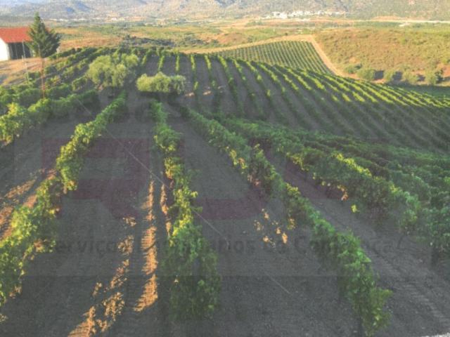 Quinta Douro Superior Vila Flor