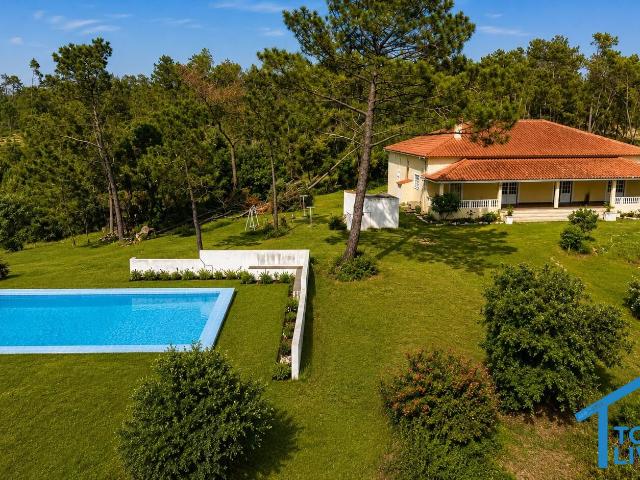 Quinta do Anjo – Quinta com 15.920 m2, Piscina e Grande Potencial a Apenas 7 Minutos de Tomar