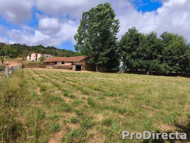 Quinta do Lagar – Refúgio com Alma e Ribeira de Águas Crista. 300m² Côja e Barril de Alva